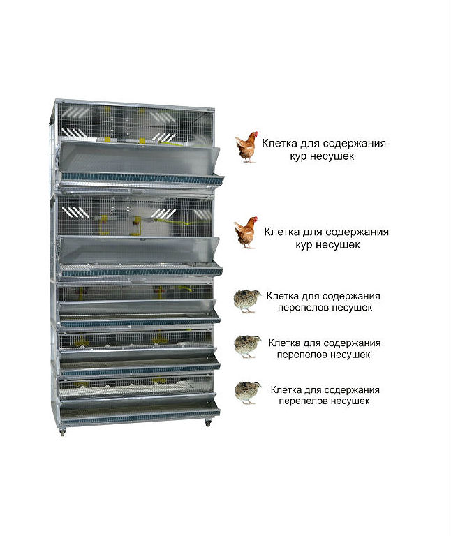 Ферма интернет магазин корма. Домашняя ферма клетки. Домашняя ферма стандарт. Батарея для кур несушек фермерская. Домашняя ферма №1