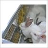 Фото 15 - Клетка для ОТКОРМА кроликов Профессионал 95-ко2.