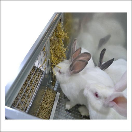Устройство клетки для кроликов