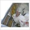 Фото 31 - Клетка для кроликов с четырьмя МАТОЧНИКАМИ Профессионал 95-км4.