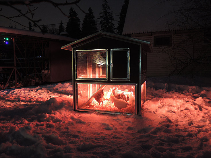 Фото 6 - Утеплённый курятник-домик с выгулом "ЗИМНЯЯ МЕЧТА" на 10 кур (без гнезда).