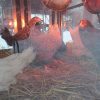 Фото 15 - Утеплённый курятник-домик с выгулом "ЗИМНЯЯ МЕЧТА" на 10 кур (без гнезда).