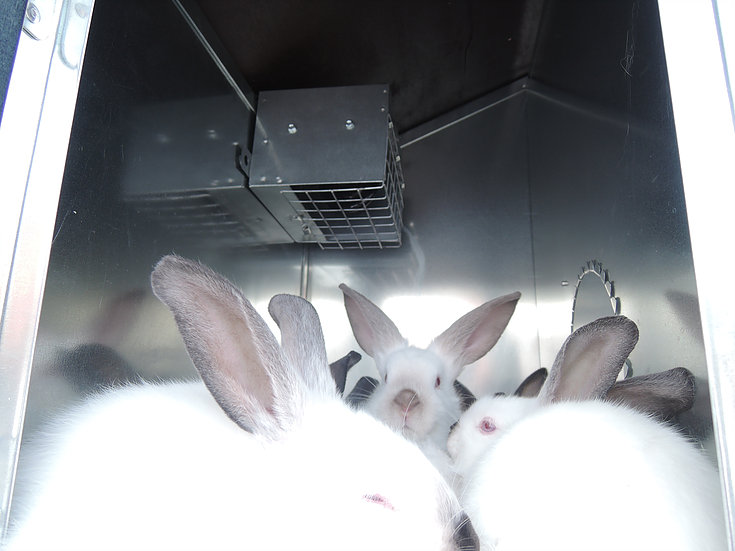 Фото 4 - Крольчатник утепленный с маточным отделением «Бестселлер» М-12.