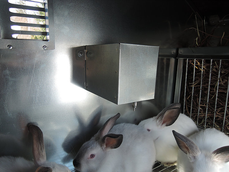 Фото 3 - Крольчатник утепленный с маточным отделением «Бестселлер» М-12.