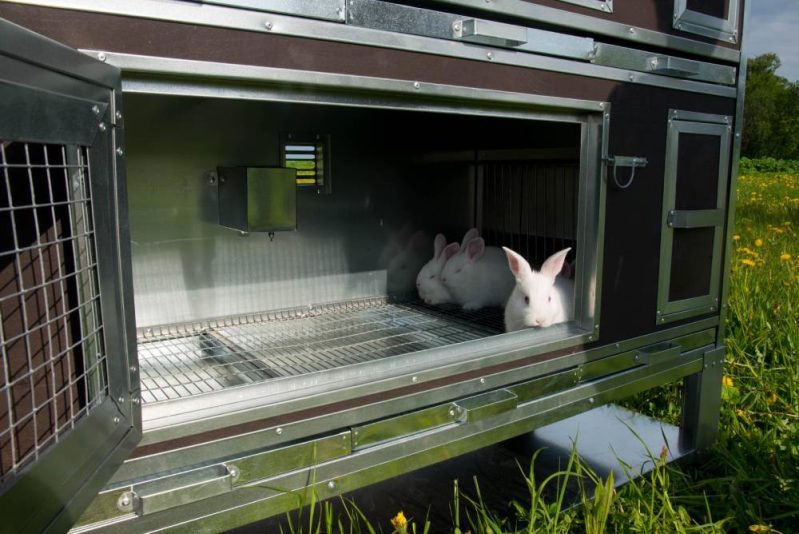 Фото 11 - Крольчатник утепленный с маточным отделением «Бестселлер» М-13.