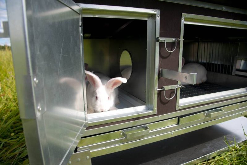Фото 15 - Крольчатник утепленный с маточным отделением «Бестселлер» М-11.