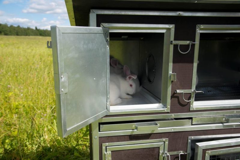 Фото 13 - Крольчатник утепленный с маточным отделением «Бестселлер» М-12.