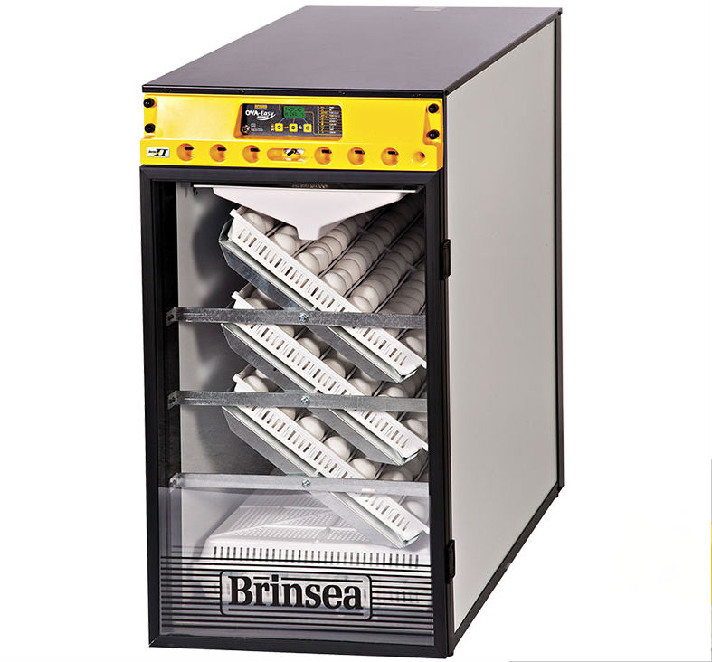 Фото 2 - Инкубатор Brinsea Ova-Easy Advance EX ser II 380 автоматический с помпой.