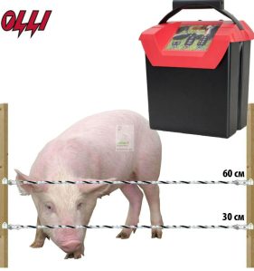 Фото 9 - Комплект электропастуха для свиней 9В/12В на 500 м.