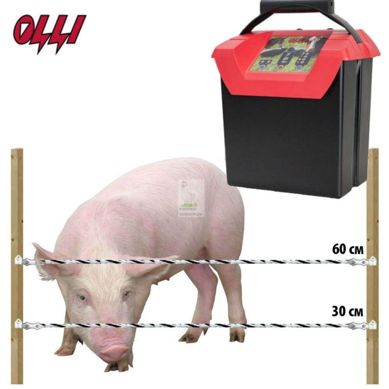 Фото 2 - Комплект электропастуха для свиней 9В/12В на 500 м.