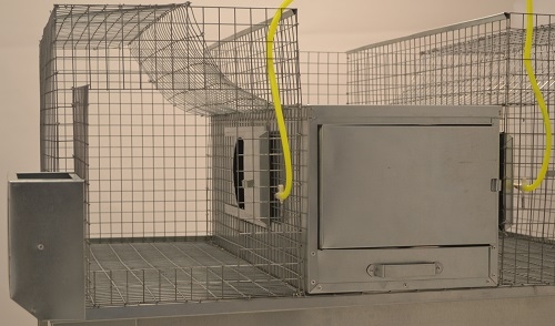 Фото 5 - Клетка для кроликов с подставкой и конусным поддоном.