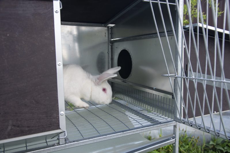 Фото 9 - Уличный летний домик для кроликов "ФАВОРИТ" КР1-М-М.